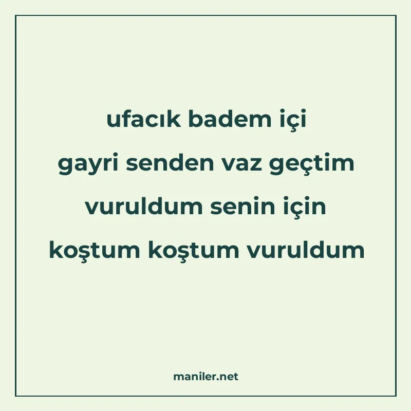 ufacık badem içi gayri senden vaz geçtim vuruldum senin için manisi görseli