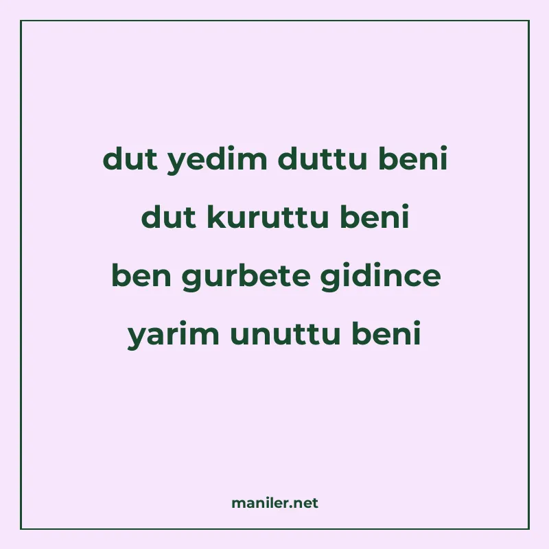 dut yedim duttu beni dut kuruttu beni ben gurbete gidince ya manisi görseli