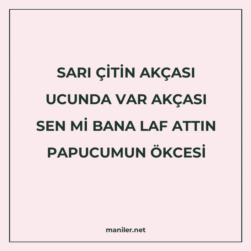 SARI ÇİTİN AKÇASI UCUNDA VAR AKÇASI SEN Mİ BANA LAF ATTIN PA manisi görseli