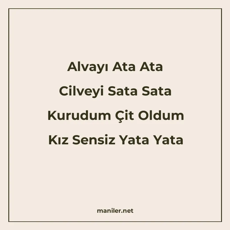 Alvayı Ata Ata Cilveyi Sata Sata Kurudum Çit Oldum Kız Sensi manisi görseli