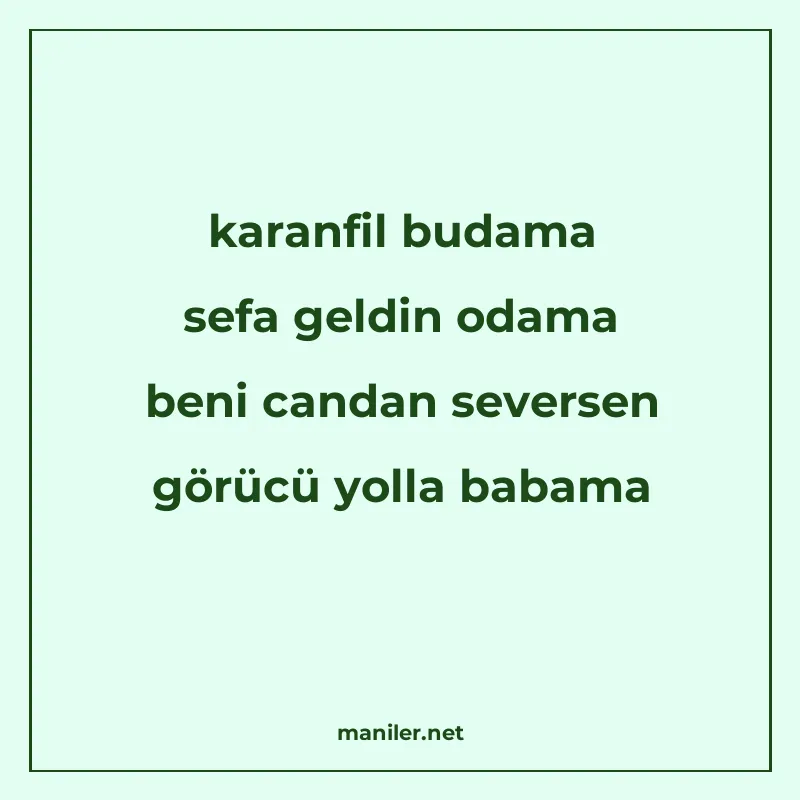 karanfil budama sefa geldin odama beni candan seversen görüc manisi görseli