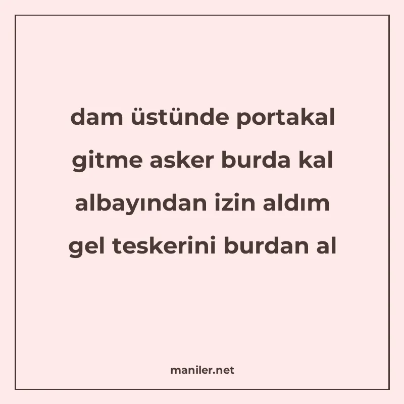 dam üstünde portakal gitme asker burda kal albayından izin a manisi görseli