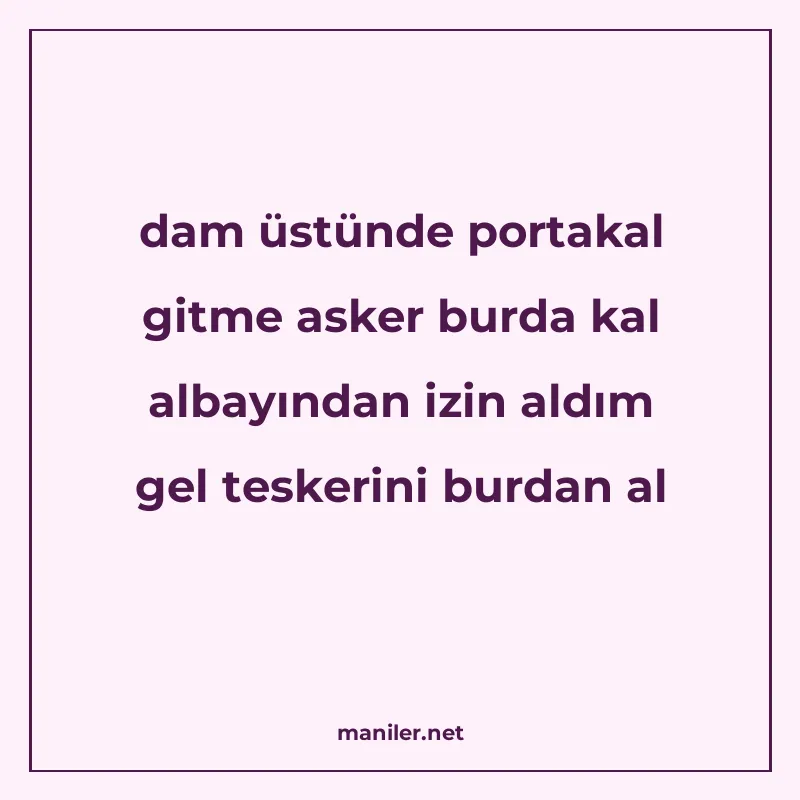 dam üstünde portakal gitme asker burda kal albayından izin a manisi görseli