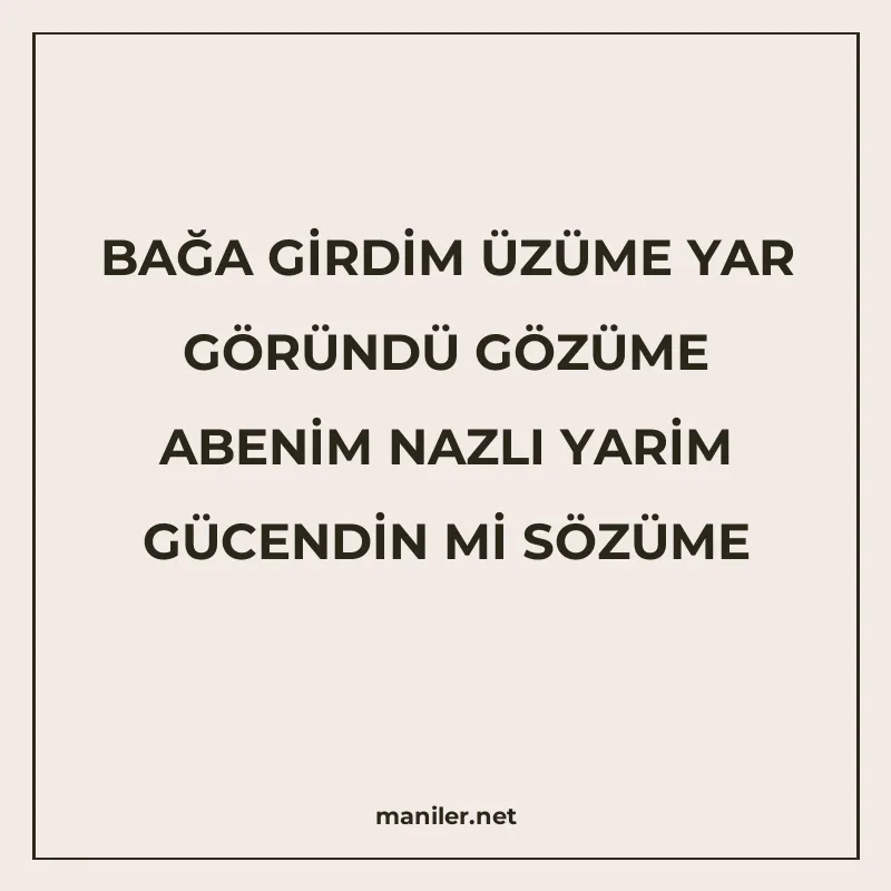 BAĞA GİRDİM ÜZÜME YAR GÖRÜNDÜ GÖZÜME ABENİM NAZLI YARİM GÜCE manisi görseli