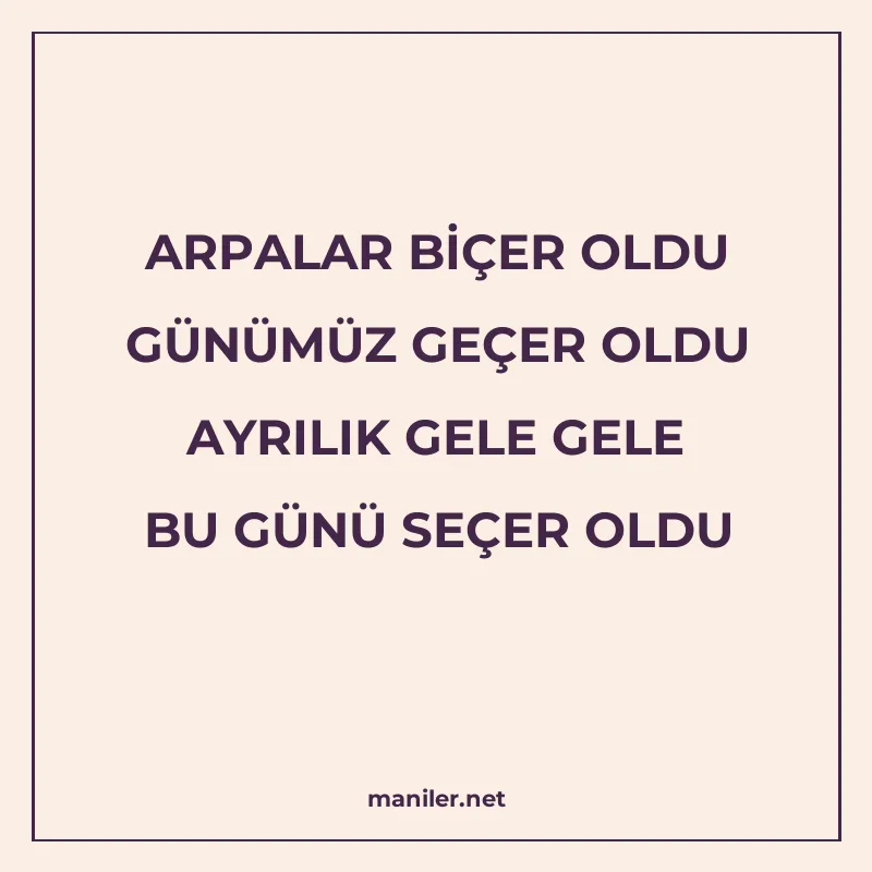 ARPALAR BİÇER OLDU GÜNÜMÜZ GEÇER OLDU AYRILIK GELE GELE BU G manisi görseli