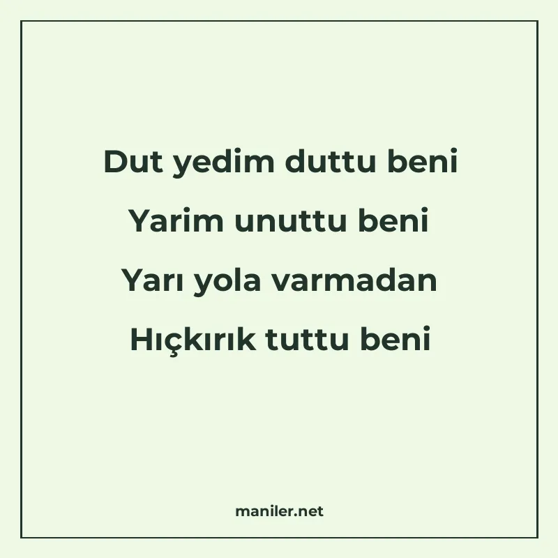 Dut yedim duttu beni Yarim unuttu beni Yarı yola varmadan Hı manisi görseli