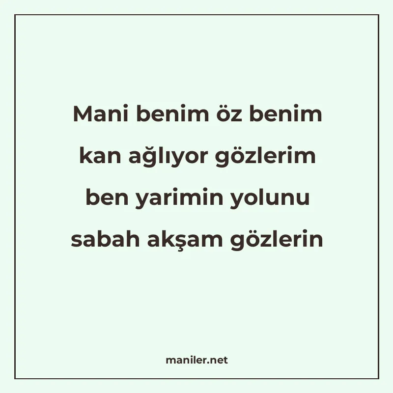 Mani benim öz benim kan ağlıyor gözlerim ben yarimin yolunu manisi görseli