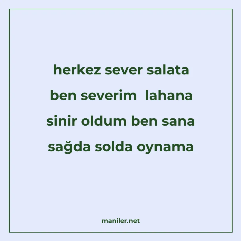 herkez sever salata ben severim lahana sinir oldum ben sana manisi görseli