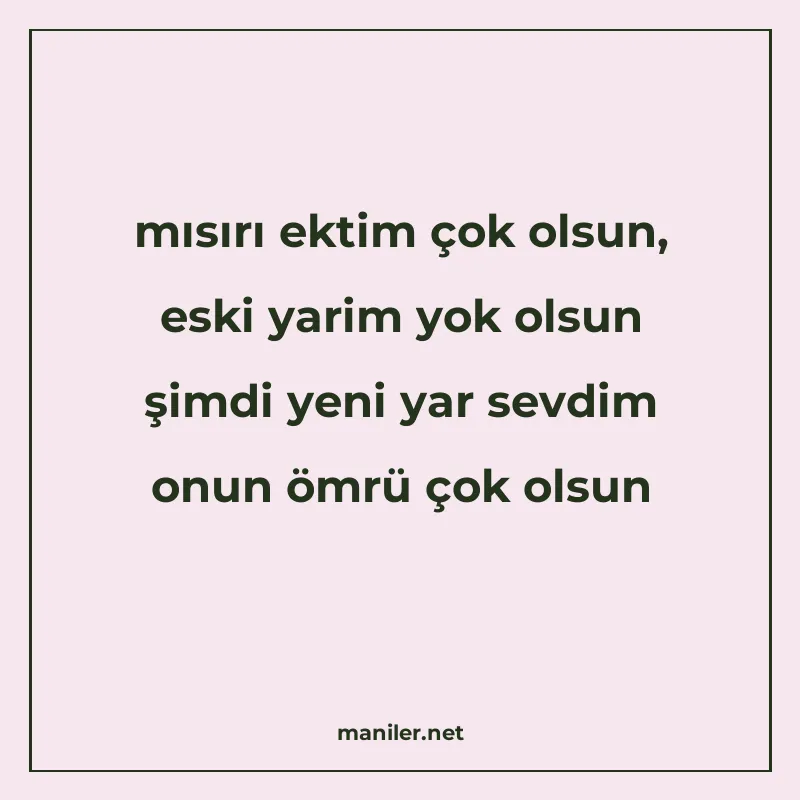 mısırı ektim çok olsun, eski yarim yok olsun şimdi yeni yar manisi görseli