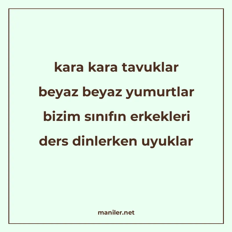 kara kara tavuklar beyaz beyaz yumurtlar bizim sınıfın erkek manisi görseli