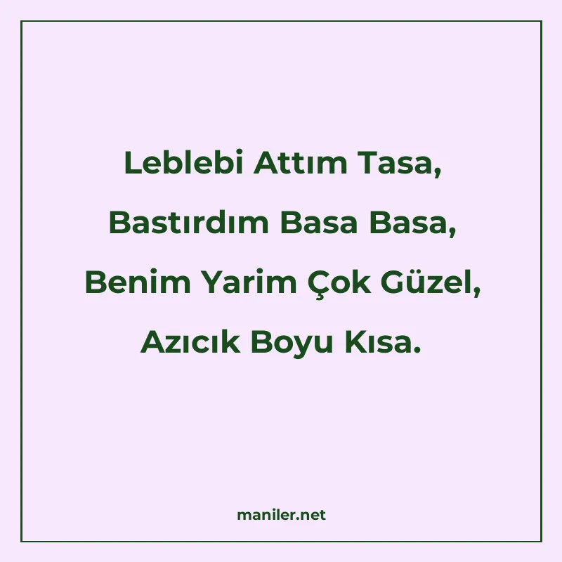 Leblebi Attım Tasa, Bastırdım Basa Basa, Benim Yarim Çok Güz manisi görseli