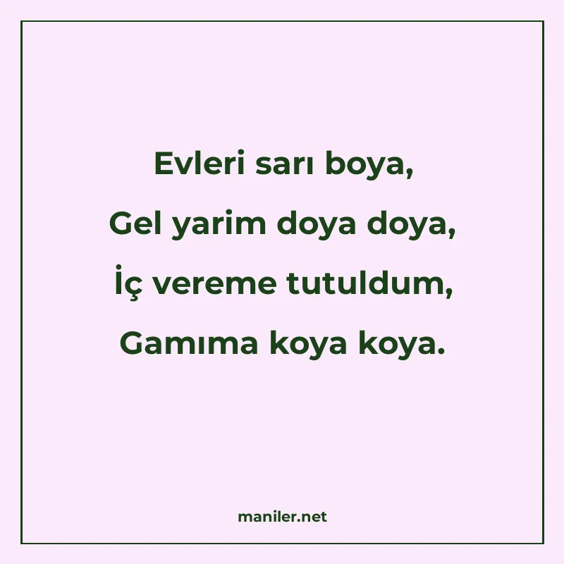 Evleri sarı boya, Gel yarim doya doya, İç vereme tutuldum, G manisi görseli