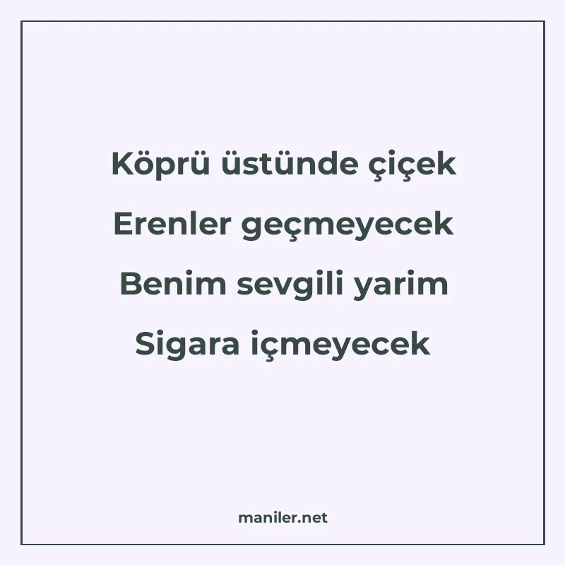 Köprü üstünde çiçek Erenler geçmeyecek Benim sevgili yarim S manisi görseli