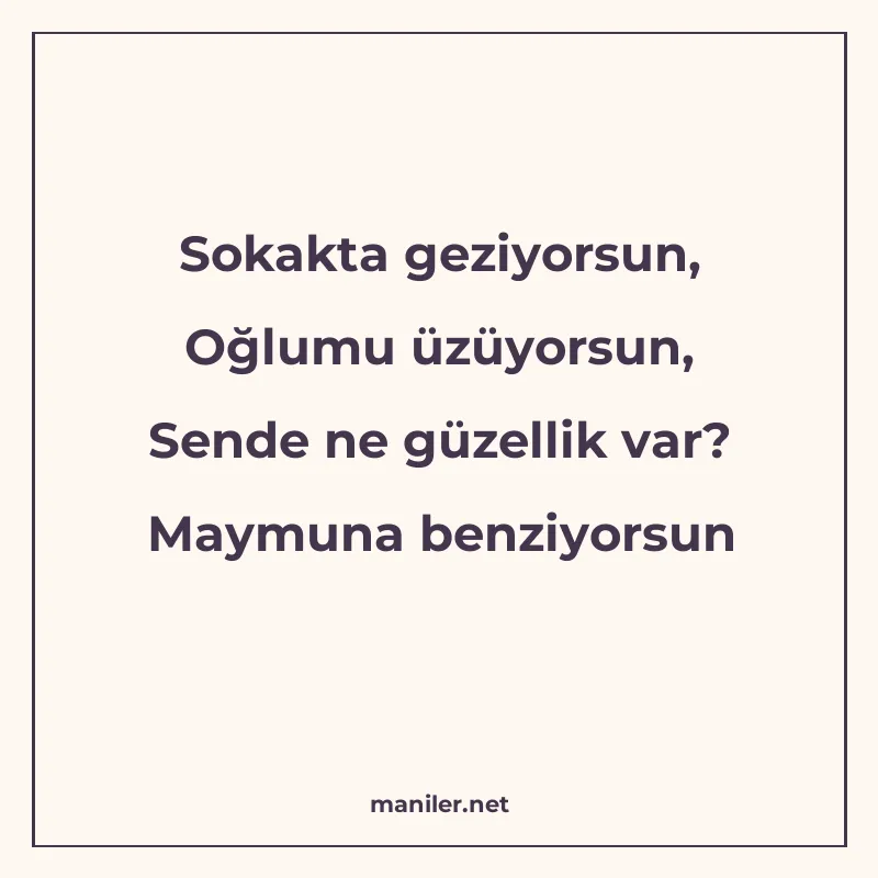 Sokakta geziyorsun, Oğlumu üzüyorsun, Sende ne güzellik var? manisi görseli