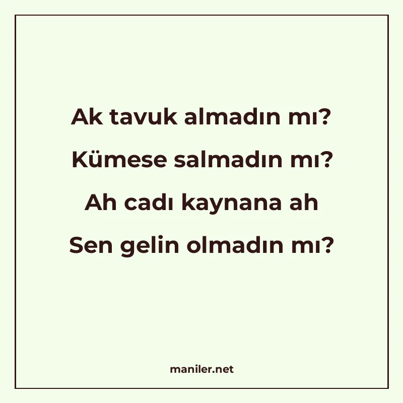 Ak tavuk almadın mı? Kümese salmadın mı? Ah cadı kaynana ah manisi görseli