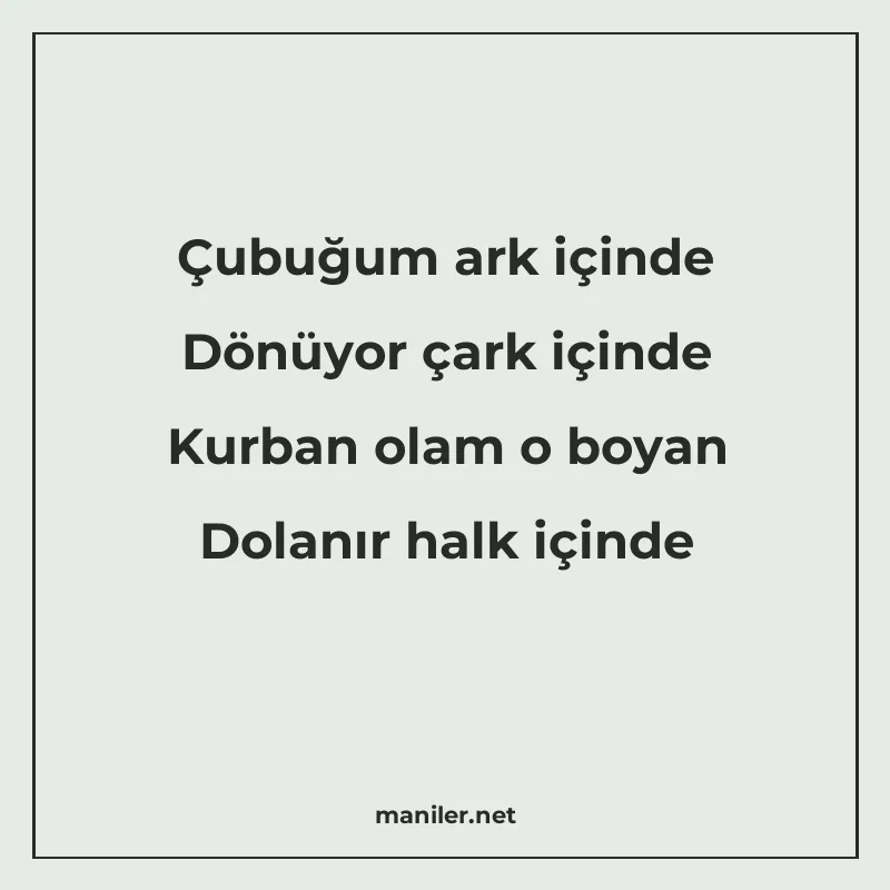 Çubuğum ark içinde Dönüyor çark içinde Kurban olam o boyan D manisi görseli