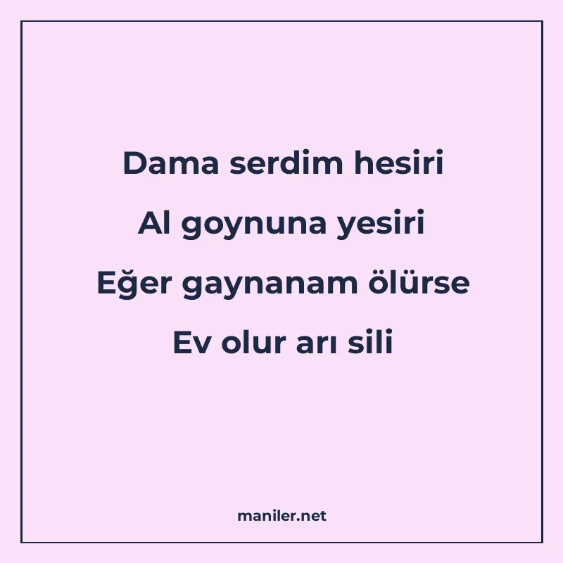 Dama serdim hesiri Al goynuna yesiri Eğer gaynanam ölürse Ev manisi görseli