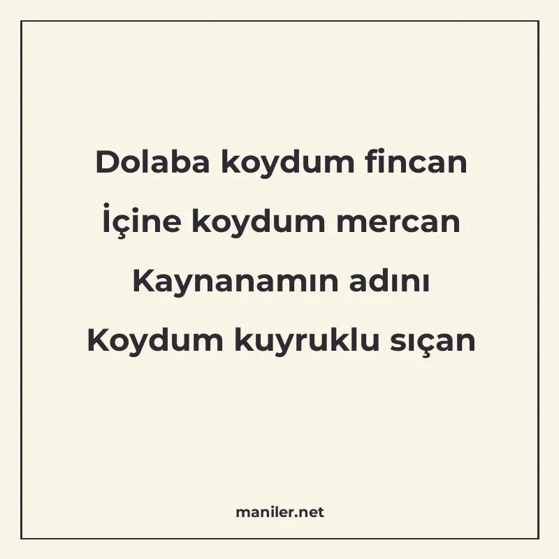 Dolaba koydum fincan İçine koydum mercan Kaynanamın adını Ko manisi görseli