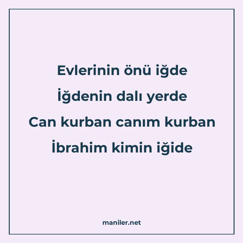 Evlerinin önü iğde İğdenin dalı yerde Can kurban canım kurba manisi görseli