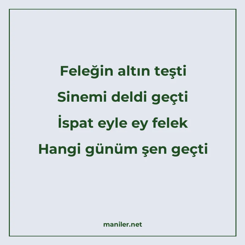 Feleğin altın teşti Sinemi deldi geçti İspat eyle ey felek H manisi görseli