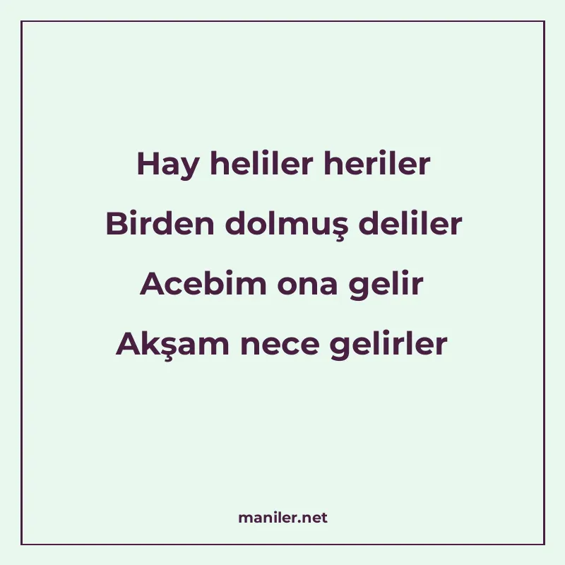 Hay heliler heriler Birden dolmuş deliler Acebim ona gelir A manisi görseli