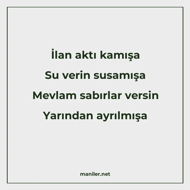 İlan aktı kamışa Su verin susamışa Mevlam sabırlar versin Ya manisi görseli