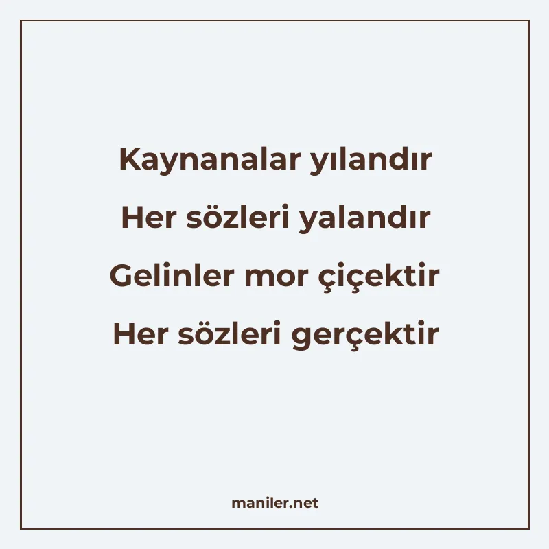 Kaynanalar yılandır Her sözleri yalandır Gelinler mor çiçekt manisi görseli