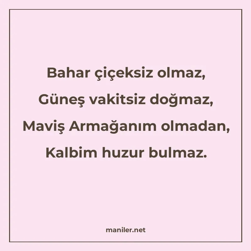 Bahar çiçeksiz olmaz, Güneş vakitsiz doğmaz, Maviş Armağanım manisi görseli