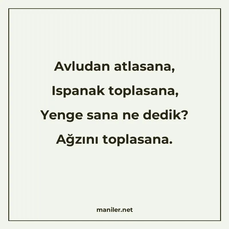 Avludan atlasana, Ispanak toplasana, Yenge sana ne dedik? Ağ manisi görseli