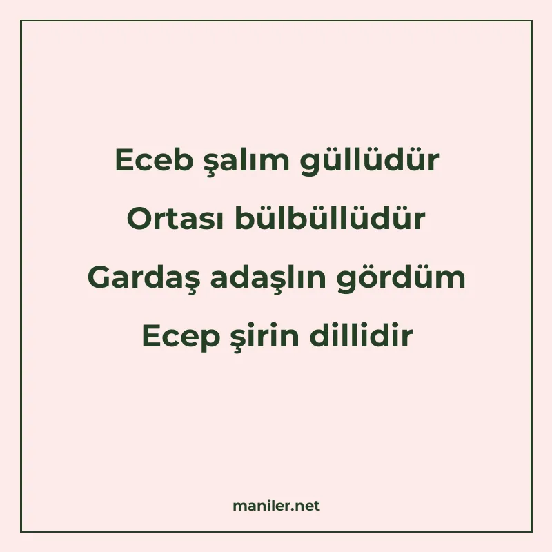 Eceb şalım güllüdür Ortası bülbüllüdür Gardaş adaşlın gördüm manisi görseli