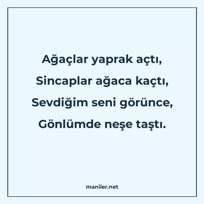 Ağaçlar yaprak açtı, Sincaplar ağaca kaçtı, Sevdiğim seni gö manisi görseli
