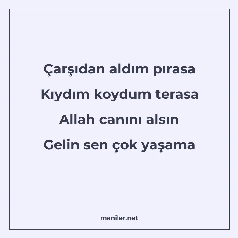 Çarşıdan aldım pırasa Kıydım koydum terasa Allah canını alsı
