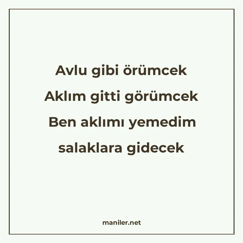 Avlu gibi örümcek Aklım gitti görümcek Ben aklımı yemedim sa manisi görseli
