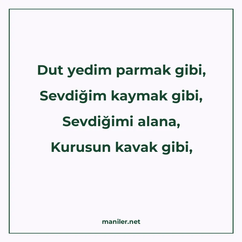 Dut yedim parmak gibi, Sevdiğim kaymak gibi, Sevdiğimi alana manisi görseli