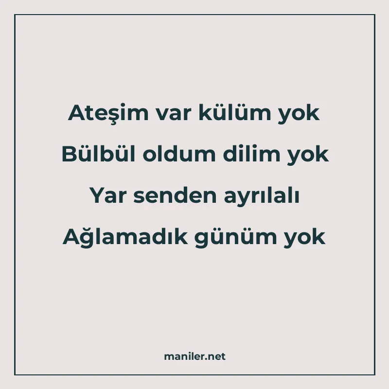 Ateşim var külüm yok Bülbül oldum dilim yok Yar senden ayrıl manisi görseli