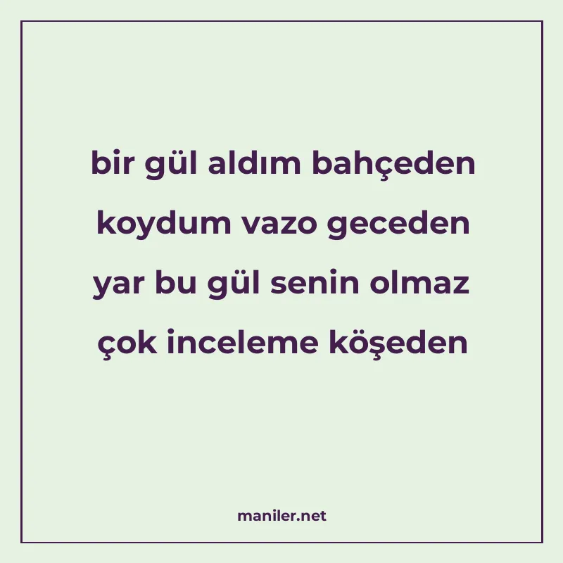 bir gül aldım bahçeden koydum vazo geceden yar bu gül senin manisi görseli