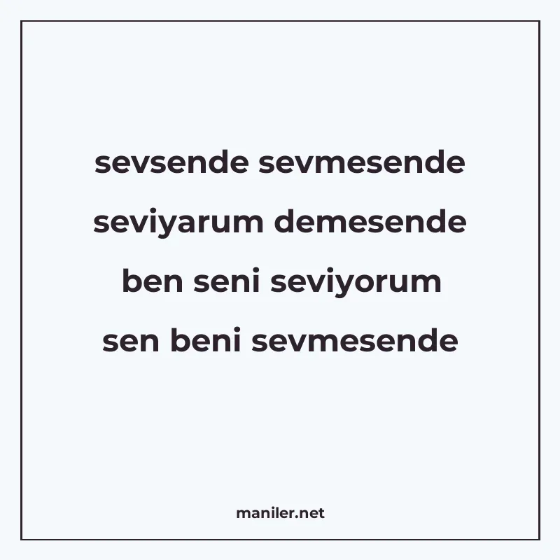 sevsende sevmesende seviyarum demesende ben seni seviyorum s manisi görseli