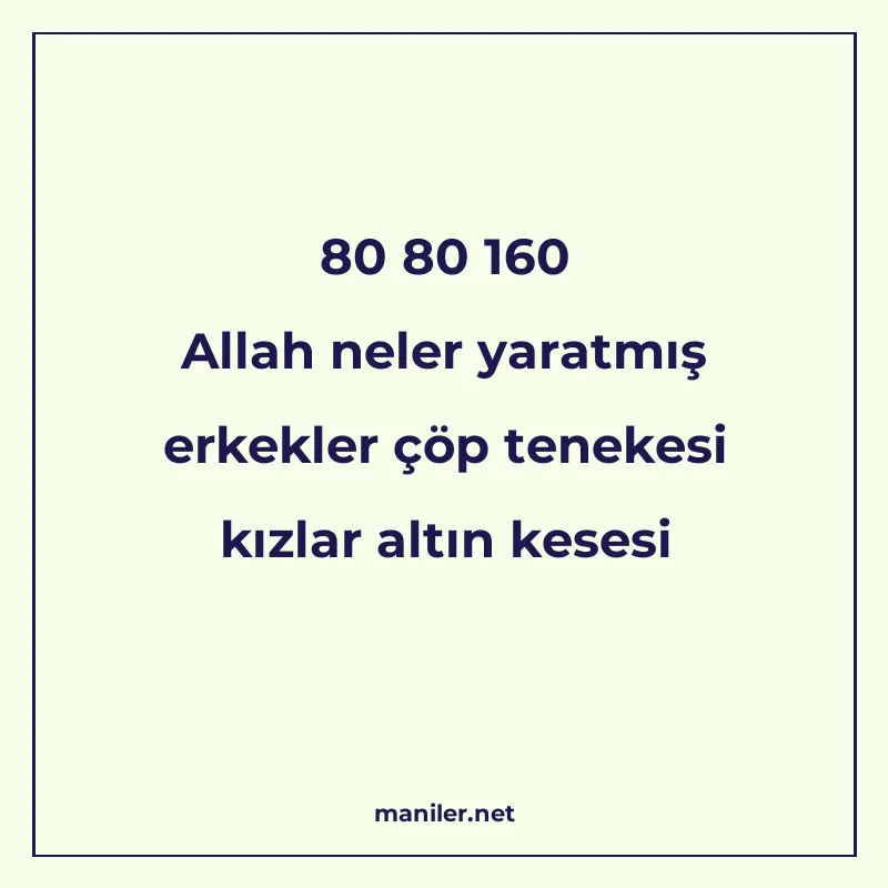 80 80 160 Allah neler yaratmış erkekler çöp tenekesi kızlar manisi görseli