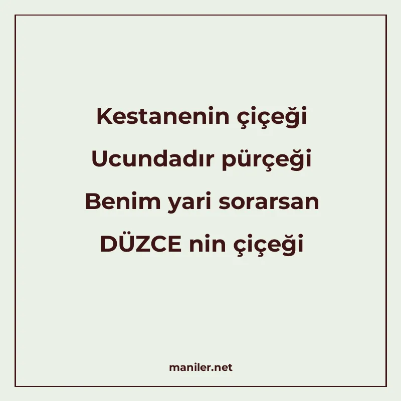 Kestanenin çiçeği Ucundadır pürçeği Benim yari sorarsan DÜZC manisi görseli