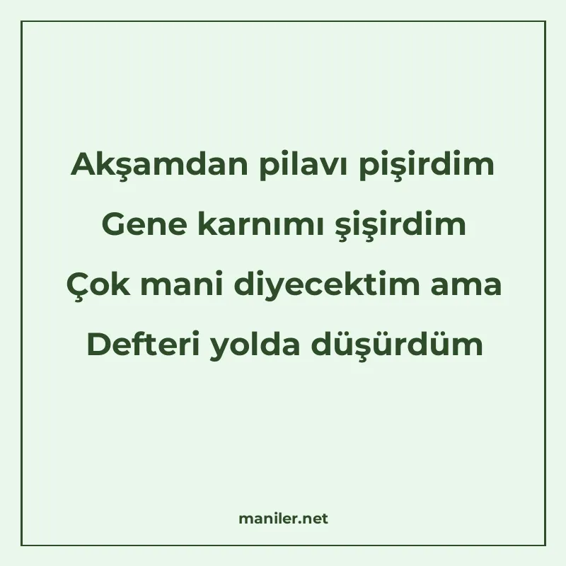 Akşamdan pilavı pişirdim Gene karnımı şişirdim Çok mani diye manisi görseli