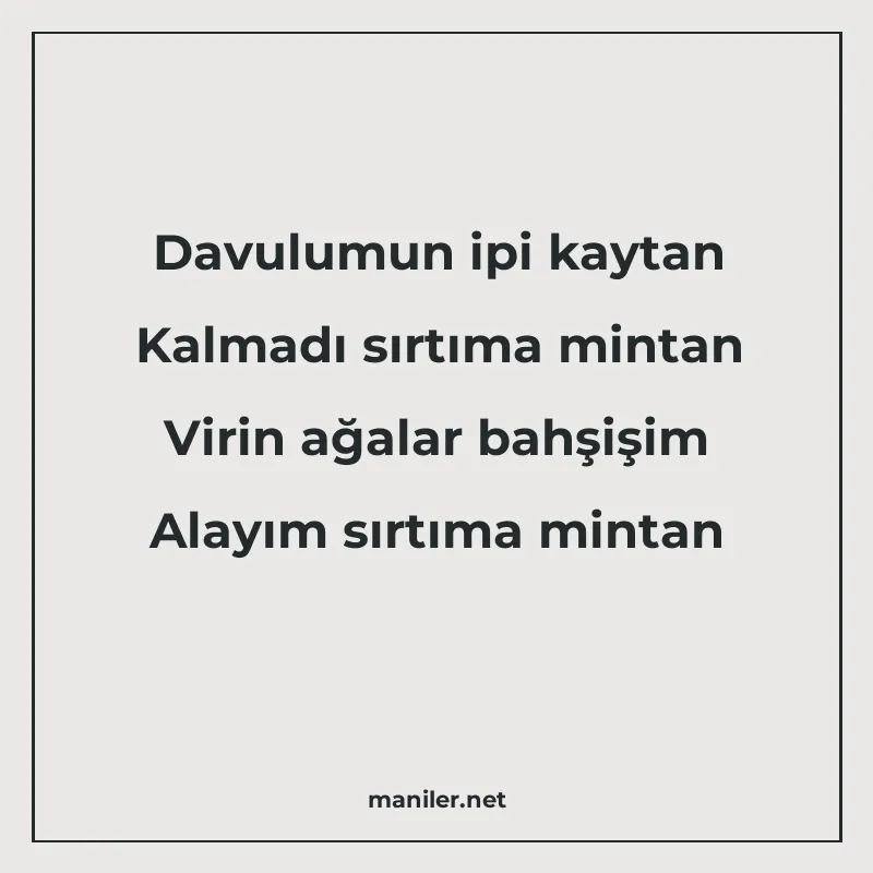 Davulumun ipi kaytan Kalmadı sırtıma mintan Virin ağalar bah manisi görseli