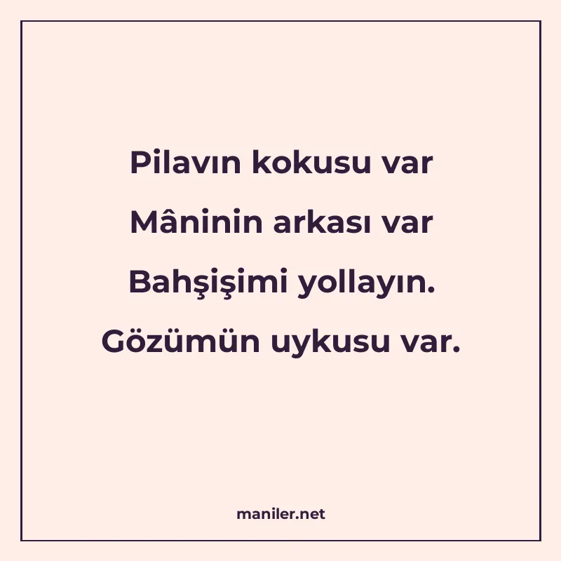 Pilavın kokusu var Mâninin arkası var Bahşişimi yollayın. Gö manisi görseli