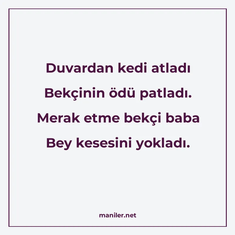 Duvardan kedi atladı Bekçinin ödü patladı. Merak etme bekçi manisi görseli