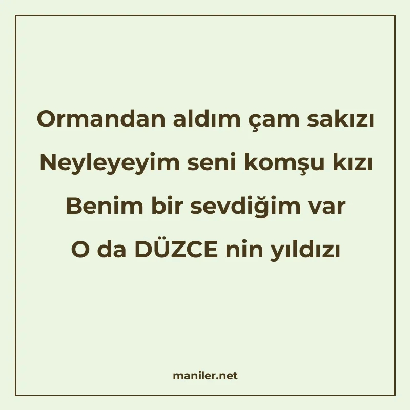 Ormandan aldım çam sakızı Neyleyeyim seni komşu kızı Benim b manisi görseli