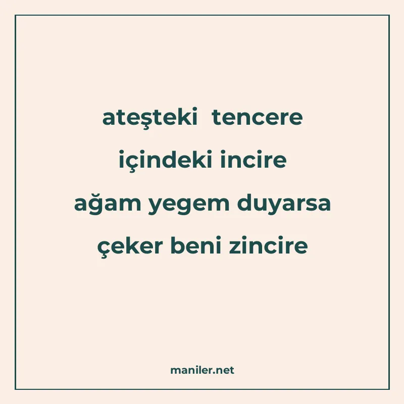 ateşteki tencere içindeki incire ağam yegem duyarsa çeker be manisi görseli