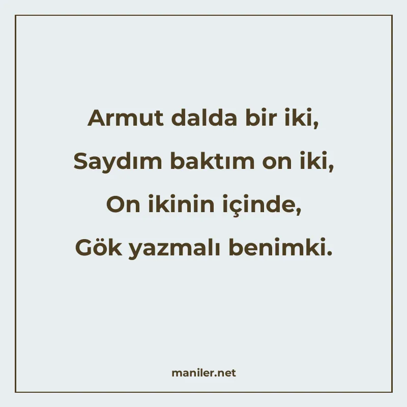 Armut dalda bir iki, Saydım baktım on iki, On ikinin içinde manisi görseli