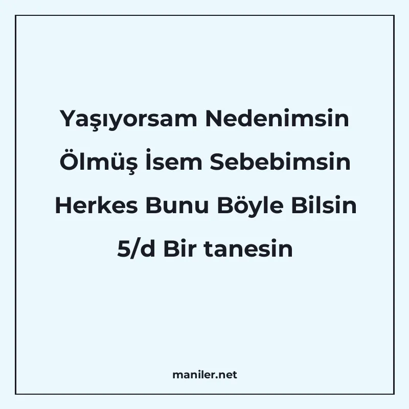Yaşıyorsam Nedenimsin Ölmüş İsem Sebebimsin Herkes Bunu Böyl manisi görseli