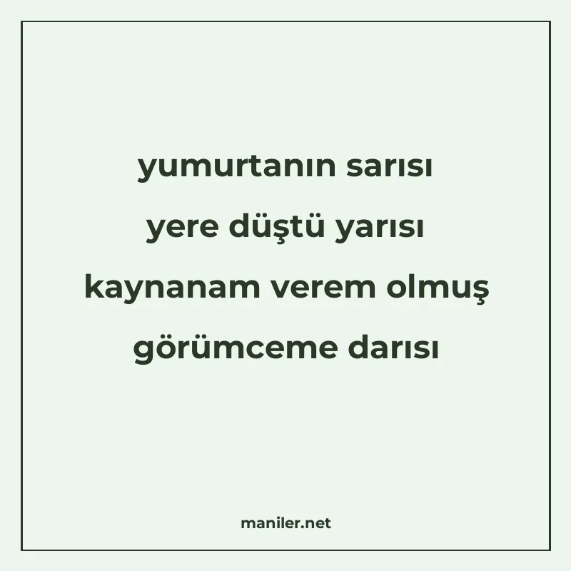 yumurtanın sarısı yere düştü yarısı kaynanam verem olmuş gör manisi görseli