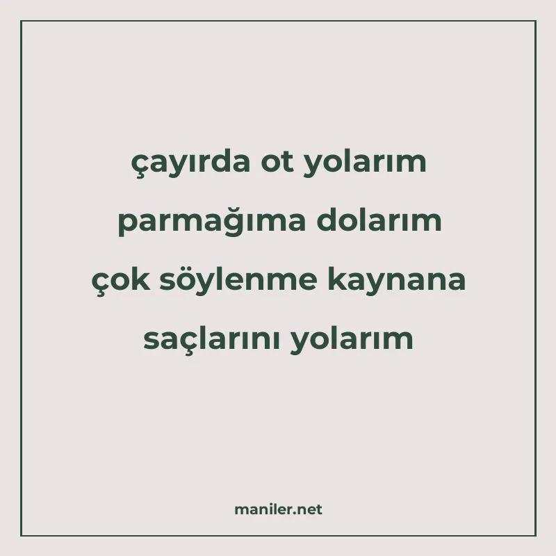 çayırda ot yolarım parmağıma dolarım çok söylenme kaynana sa manisi görseli