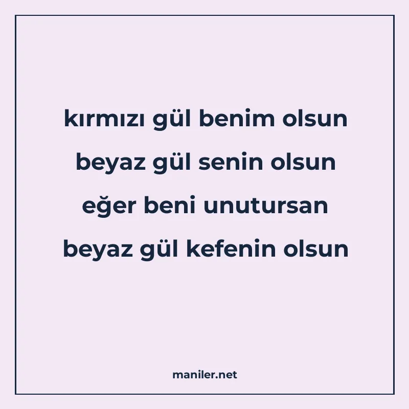 kırmızı gül benim olsun beyaz gül senin olsun eğer beni unut manisi görseli
